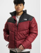 The North Face Winter Jacket Saikuru red