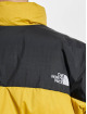 The North Face Winterjacke Diablo Down gelb