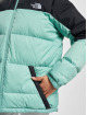 The North Face Winterjacke Diablo grün