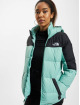 The North Face Winterjacke Diablo grün