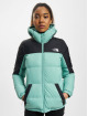 The North Face Winterjacke Diablo grün