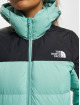 The North Face Winterjacke Diablo grün