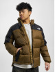 The North Face Winterjacke Milolblk olive