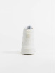 Timberland Chaussures montantes Greyfield Fabric Blanc De Blanc blanc