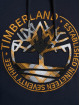 Timberland Hoodies Little Cold blå