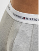 Tommy Hilfiger Kalsonger 3 Pack grå