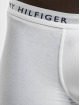 Tommy Hilfiger ondergoed Underwear 3 Pack bont