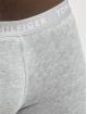Tommy Hilfiger Ropa interior Underwear 3 Pack colorido