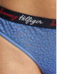 Tommy Hilfiger Underwear 5 Pack colored