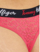 Tommy Hilfiger Underwear 5 Pack colored