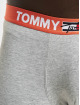 Tommy Hilfiger Unterwäsche Underwear Trunk grau