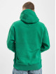 Tommy Jeans Hoodie Relaxed Polar Signature green