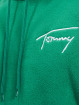 Tommy Jeans Hoodie Relaxed Polar Signature green