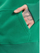 Tommy Jeans Hoodie Relaxed Polar Signature green