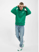 Tommy Jeans Hoodie Relaxed Polar Signature green