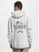 Tommy Jeans Hoodie Skater Prep grey