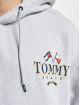 Tommy Jeans Hoodie Skater Prep grey
