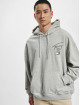 Tommy Jeans Hoodie OVZ AOP Back grey