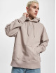 Tommy Jeans Hoody Relaxed Signature beige