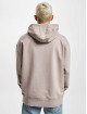Tommy Jeans Hoody Relaxed Signature beige