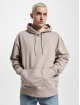 Tommy Jeans Hoody Relaxed Signature beige