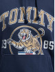 Tommy Jeans Hoody College Tiger blau