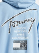 Tommy Jeans Hoody OVZ AOP Back blauw