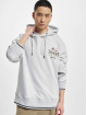 Tommy Jeans Hoody Skater Prep grau