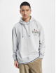Tommy Jeans Hoody Skater Prep grau