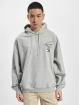 Tommy Jeans Hoody OVZ AOP Back grijs