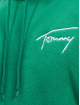 Tommy Jeans Hoody Relaxed Polar Signature grün