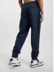 Tommy Jeans Jogginghose Badge blau