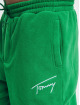 Tommy Jeans Jogginghose Relaxed Winter Signature grün