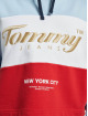 Tommy Jeans Sudadera Crop Archive colorido