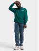 Tommy Jeans Sweat & Pull Signature vert