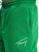 Tommy Jeans Sweat Pant Relaxed Winter Signature green