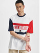 Tommy Jeans T-Shirt Skater Archive Block white