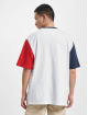 Tommy Jeans T-Shirt Skater Archive Block white