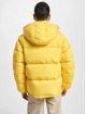 Tommy Jeans Winter Jacket Alaska yellow