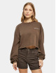 Urban Classics Pullover Ladies Cropped Small Embroidery Terry Crewneck braun