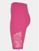 Urban Classics Shorts High Waist Lace Inset Cycle lyserosa