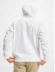 Urban Classics Sweat capuche Blank blanc