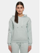 Urban Classics Sweat capuche Ladies vert