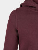 Urban Classics Sweat capuche zippé Girls rouge