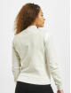 Urban Classics Teddy Inset College gris