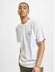 Vans T-Shirt Paisly SS white