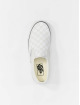 Vans Tennarit Slip On valkoinen