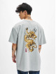 Wu-Tang T-Shirt Dragon grey